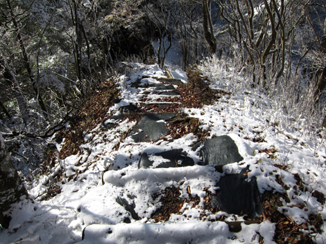 20191129hike (352)